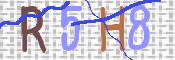 キャプチャ画像