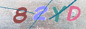 キャプチャ画像