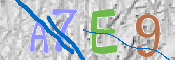 キャプチャ画像