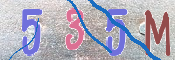 キャプチャ画像