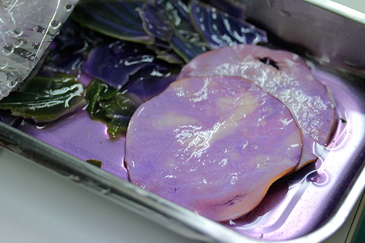 今日はエロ弁当　第一弾　～やらないか弁当編～