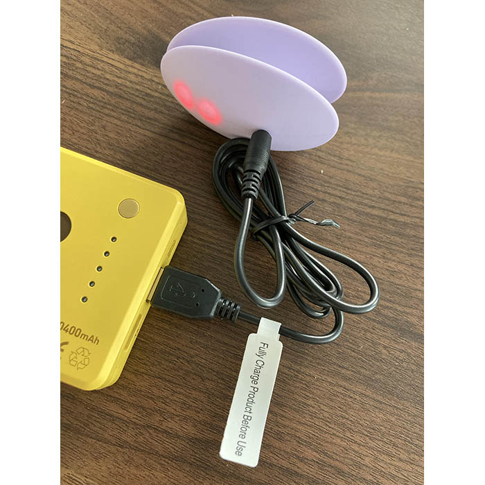 まぞいぬ♀要のアダルトグッズレビュー「Dr.バーマン パームサイズマッサージャー」